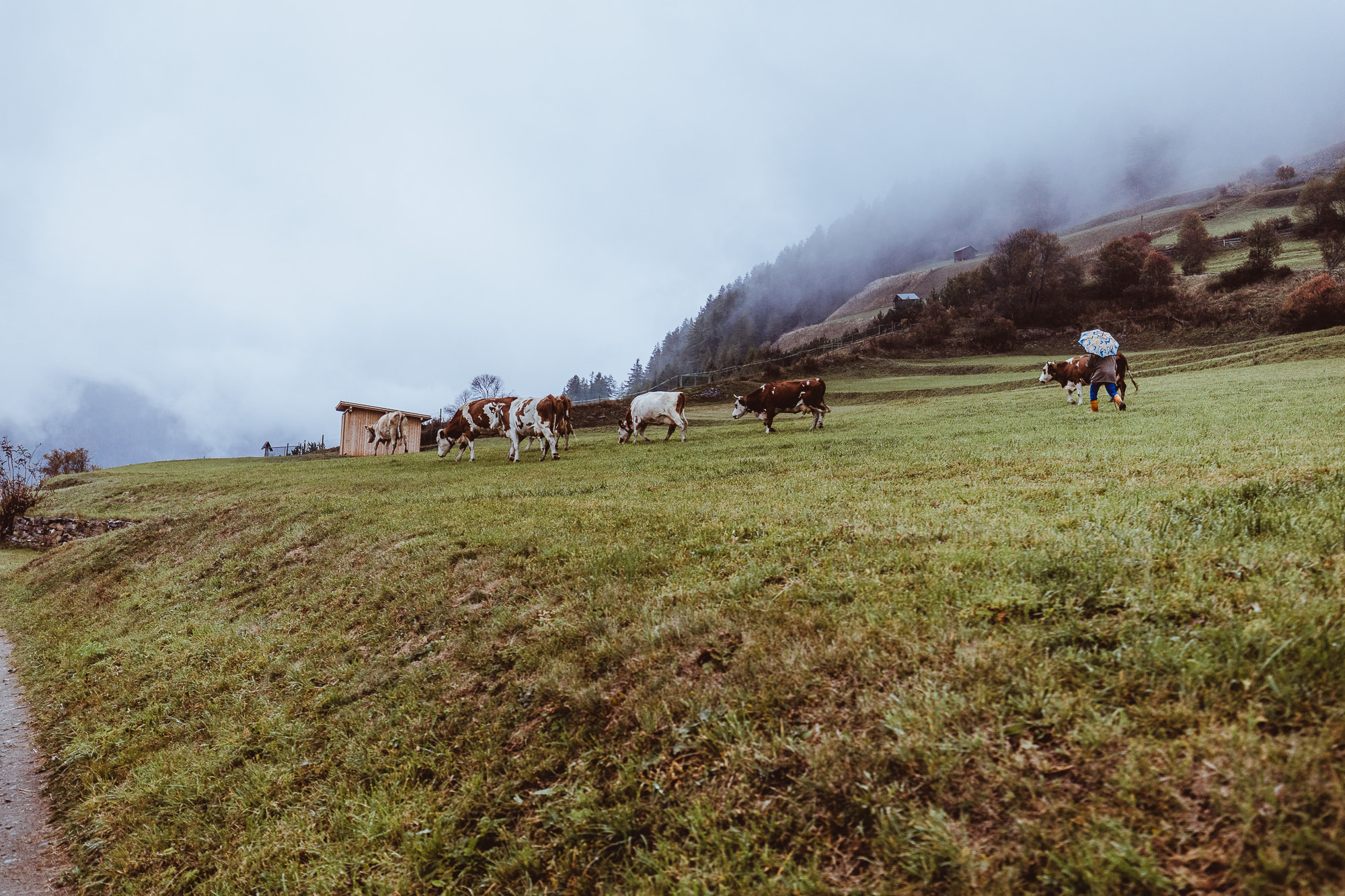 Export x3 5D4 0227 Fotoshooting 2018 Annette & Mike Nauders